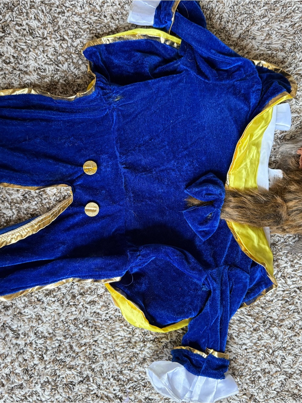 Dog “beauty and the beast” costume large